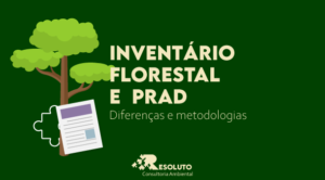 Read more about the article Inventário Florestal e PRAD: diferenças e metodologias