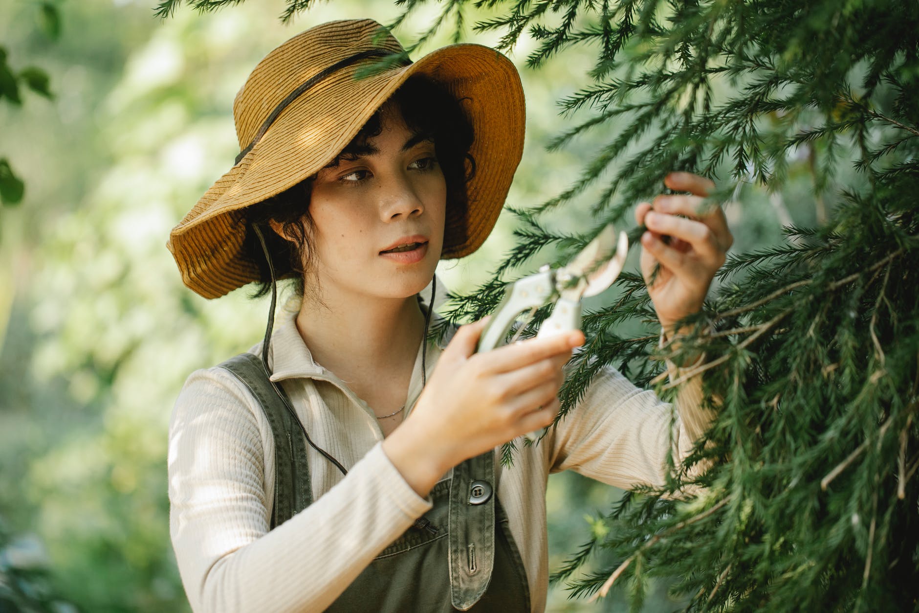 young ethnic woman cutting fir tree branches