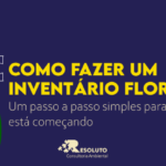 Como fazer inventário florestal: passo a passo