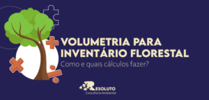 Read more about the article Como calcular volumetria em inventário florestal