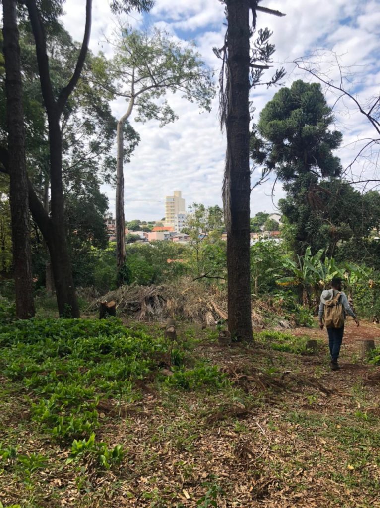 trabalho em campo realizando avaliação ecologica rapida