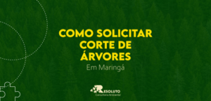 Read more about the article Como Solicitar Corte de Árvore em Maringá