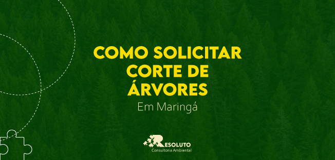 Read more about the article Como Solicitar Corte de Árvore em Maringá