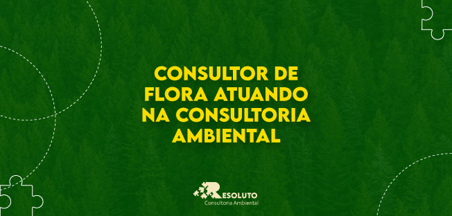 Read more about the article Consultor de Flora atuando na Consultoria Ambiental