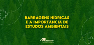 Barragens Hídricas e a importância de estudos ambientais