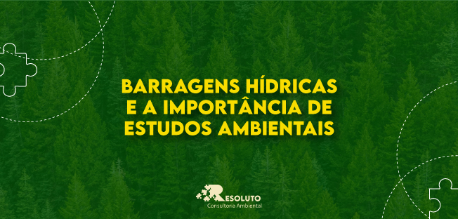 Read more about the article Barragens Hídricas e a importância de estudos ambientais