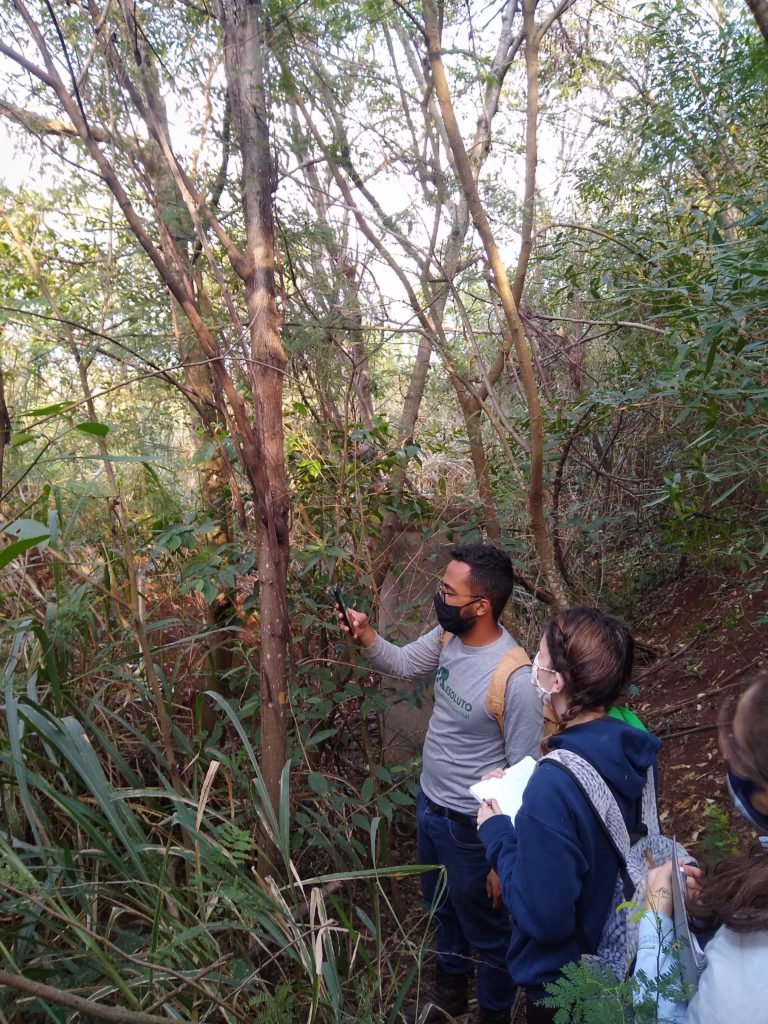 consultoria ambiental em maringa