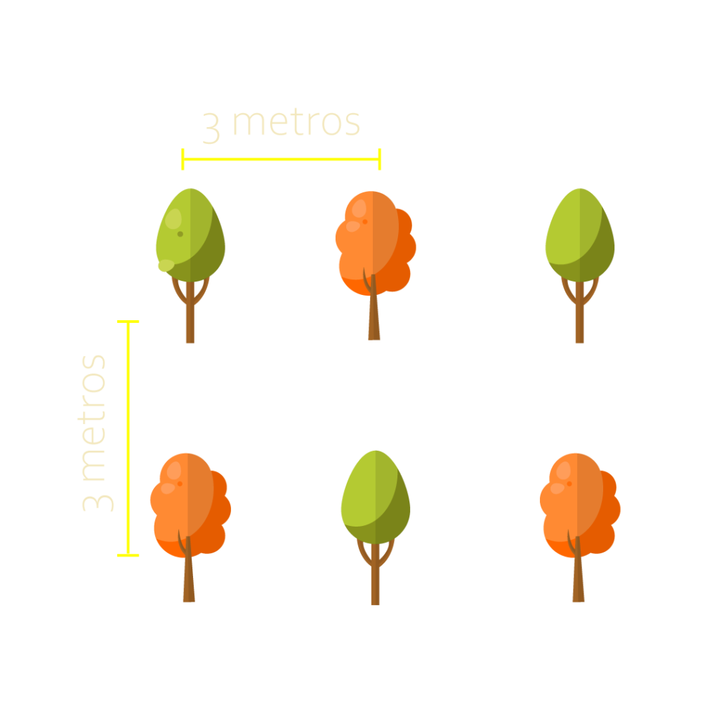 espaçamento de mudas 3x3