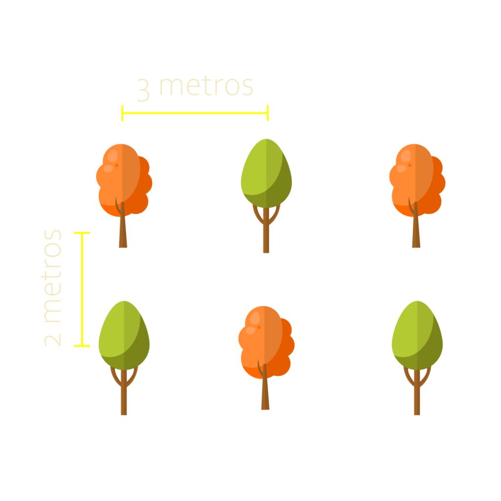 espaçamento de mudas 2x3