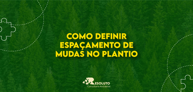 Read more about the article Como definir espaçamento de mudas