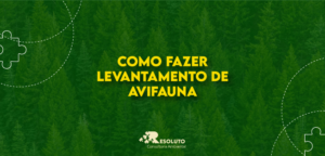 como fazer levantamento de avifauna