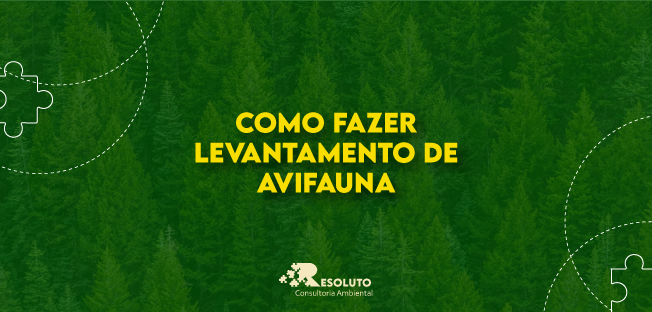 Read more about the article Como fazer levantamento de avifauna