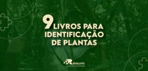 Read more about the article Os melhores livros para identificação de plantas