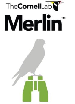 Aplicativo usar em campo - Merlin