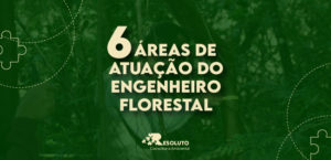 Read more about the article 6 Áreas de Atuação do Engenheiro Florestal