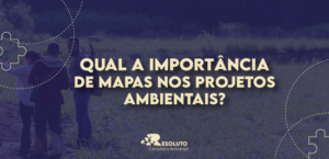 importancia mapas