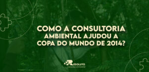 Read more about the article Como a consultoria ambiental ajudou a copa do mundo de 2014?