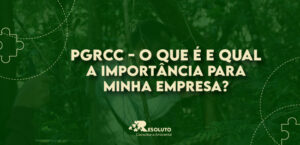 Read more about the article PGRCC: o que é e qual a importância para minha empresa?