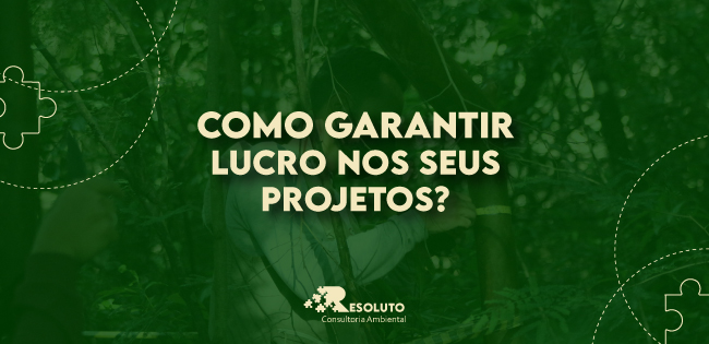 You are currently viewing <strong>Como Garantir lucro em seus projetos?</strong>