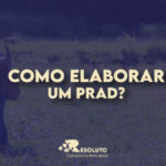 Como elaborar um PRAD?