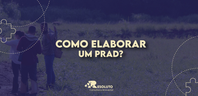 You are currently viewing Como elaborar um PRAD?