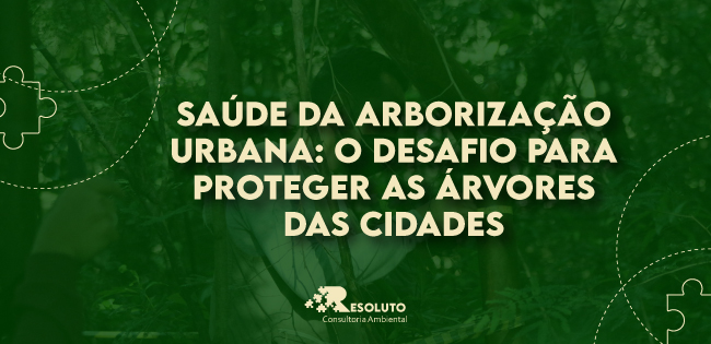 You are currently viewing Saúde da arborização urbana: o desafio para proteger as árvores das cidades